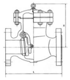 swing check valve