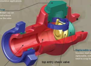 top entry check valve